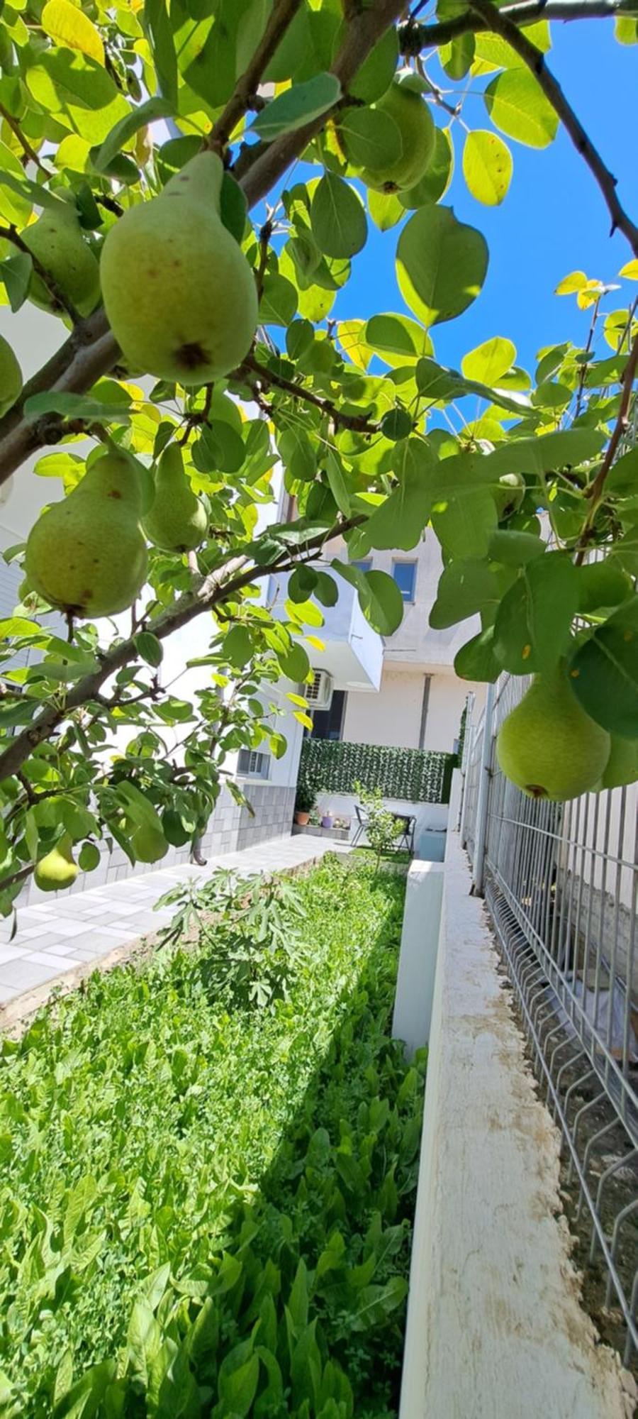 Villa Likaj Berati Quarto foto